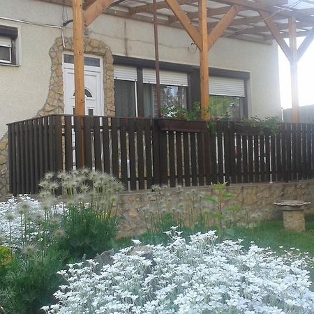 Nati Es Bea Vendeghaz Apartment Hajduszoboszlo Phòng bức ảnh